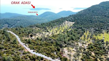 Bodrum Yalıçiftlikte Deniz Manzaralı 9650 M2 Satılık Tarla