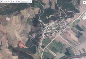 Karacabey Akçasusurluk Satılık Ceviz Bahçesi