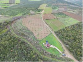 Karacabey Akçasusurluk Satılık Ceviz Bahçesi