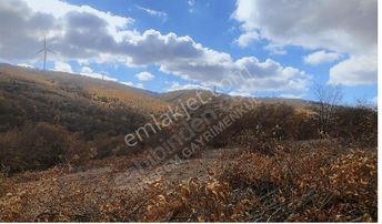 Her Şeye Zam Gelmeden Alın! Söğüt'te Satılık 9700 M² Tarla!