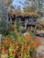 Kocabıyık Gayrimenkul'den Güney Karaağaçlı'da Zeytin Bahçesi