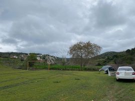 Sahibinden Zeytinlik