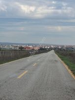 Saray Kadıköy Bağ Tapu