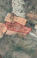 Yatırımlık Fırsat! Şehitkamil Sinan’da Tek Tapu, Fıstık Ağaçlı 20.000 M² Tarla