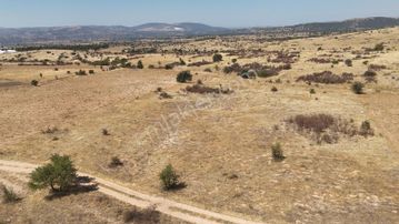 Denizli Bekilli Bükrüce'de Yatırımlık Fırsat Arazi!!!!!