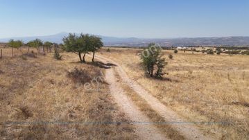 Denizli Bekilli Bükrüce'de Yatırımlık Fırsat Arazi!!!!!