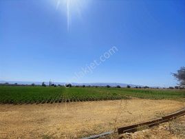 Aydın Efeler Kardeşköy De Tek Tapu 3 Dönüm Tarla