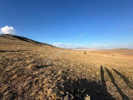 Afyon Bolvadin Kurucuova'da Yola Tek Parsel Fırsat Arazi!!!