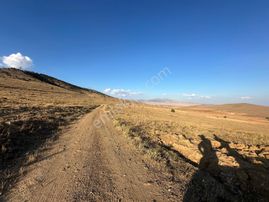 Afyon Bolvadin Kurucuova'da Yola Tek Parsel Fırsat Arazi!!!