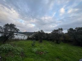 Kumla Konak Emlak”tan Satılık Yola Sıfır Arsa