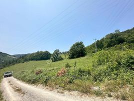 Momentum Yatırımdan Çatmaolukta 9 Dönüm Orman Manzaralı Tarla