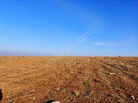 Başkan Emlaktan Satılık Seyitgazi İkiçeşme'de 13.610 M2 Tarla