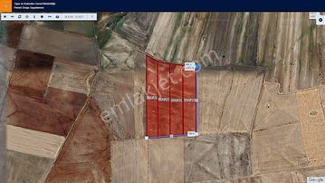 Başkan Emlaktan Satılık Seyitgazi İkiçeşme 54.550 M2 Tarla .