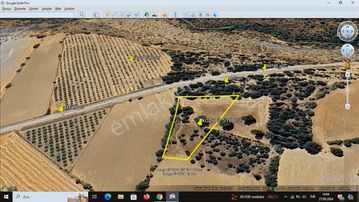 Başkan Emlaktan Satılık Mihalıççık Kozlu'da 3.519 M2 Tarla