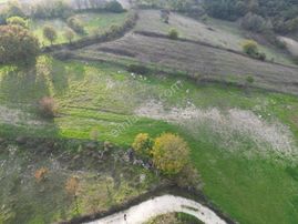 C21 Bal'dan Balıkesir, Cinge Mah.// Yola Cephe 1288 M² Satılık Arsa