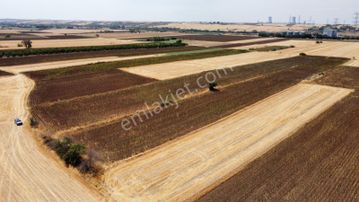 Mrt Gayrimenkul'den Eskitaşlı'da Satılık Tarla