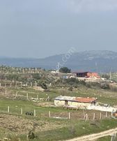 Manisa Akhisar'da Köy İçinde 1616 M2 Satılık Tarla