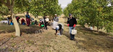 Tam Yatırımlık 70 Dönüm Cevizlik İki Kat Ev Bitmeyen Su Elektrikcisi Kurulu