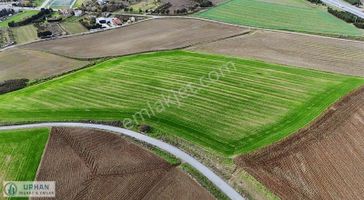 Silivri Alipaşada Yatırımlık Hisseli Tarla Fırsat !!!