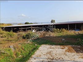 Karacabey Runguçpaşa'da Satılık Çiftlik