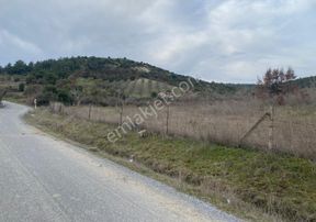 Manisa Akhisar'da 90 M Kadastral Yol Cepheli 6750 M2 Tarla