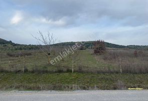 Manisa Akhisar'da 90 M Kadastral Yol Cepheli 6750 M2 Tarla