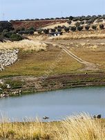 Karacabey Dağkadı Köyünde Satılık Zeytinlik