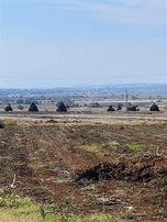 Karacabey Dağkadı Köyünde Satılık Zeytinlik