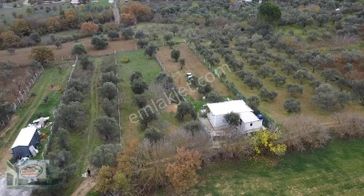 Akman Gayrimenkulden Osmancalı Mah Tek Tapu 1425m2 Satılık Arazi