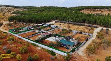 Suboğaz Yatırımlık Ve Bağ Evlik Hazır Satılık Arazi