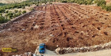 Yığınlı Tektapu Uygun Fiyatlı Resmi Yola Cepheli Şehre Yakın