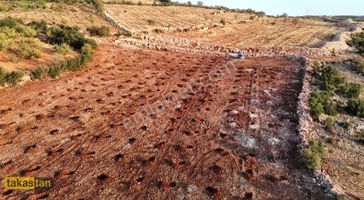 Yığınlı Tektapu Uygun Fiyatlı Resmi Yola Cepheli Şehre Yakın