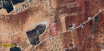 Suboğaz Yatırımlık Ve Bağ Evine Uygun Satılık Arazi