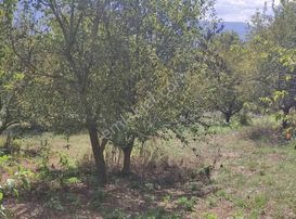 Tarcanlar'dan Yenieşme De Doğayla İçiçe Yatırımlık Tarla