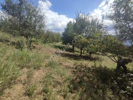 Tarcanlar'dan Yenieşme De Doğayla İçiçe Yatırımlık Tarla