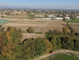 Adapazarı Abalı'da 700m2 Resmi Yollu Fırsat