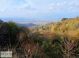 Tire Cambazlıda Köy Merkezi Yola Sıfır İmarlı Satılık Arsa