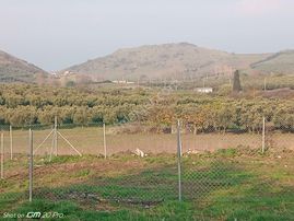 Yalıçiftlik,de Satılık Parseller