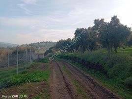 Yalıçiftlik,de Satılık Parseller