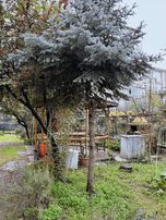 Bahçelievler Mahallesinde Satılık 3+1 Daire