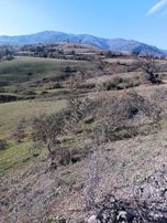 Atakum Sarı Taşda Satılık Tarla