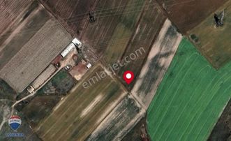 Remax Lavanda'dan Türkmenlide 1200 M2 Satılık Tarla