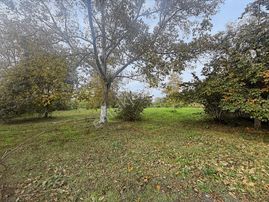 Sapanca Kırkpınar Bağdat Cad. Emsalsiz Satılık Arsa | Tapu54