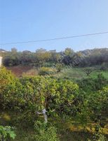 Seçköyde Satılık Tarla