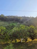 Seçköyde Satılık Tarla