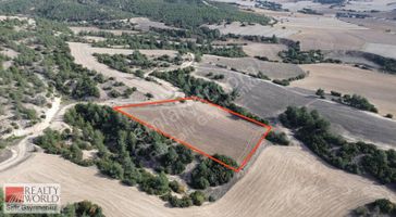 Honaz Yokuşbaşı'nda Yatırım Tarla Fırsatı