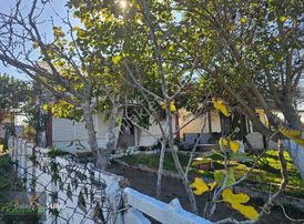 Kocaali Caferiyede Denize 50 M Müstakil Dubleks Yazlık Satılık