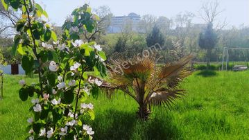 Yalova Termal Akköy 1.100 M2 Arazi + 3+1 Prefabrik + Müştemilat