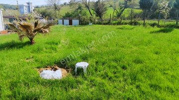 Yalova Termal Akköy 1.100 M2 Arazi + 3+1 Prefabrik + Müştemilat