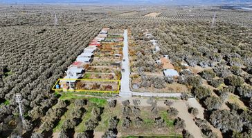 Akhisar Efendi Mahallesinde 400 M² Hobi Bahçesi - Elektrik & Su